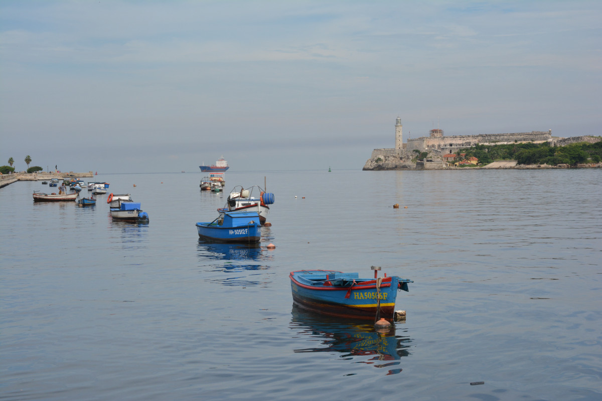 An Island Without Fish